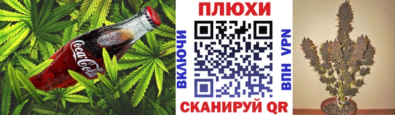 Cannafood конопля  Реутов 