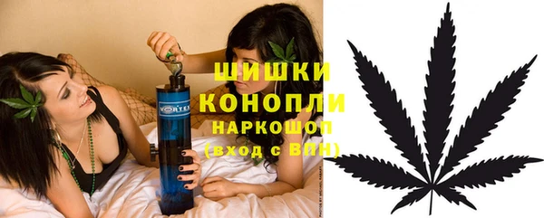 гашик Беломорск